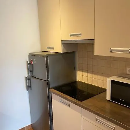 Roland Apartment Downtown - Garay Budapest Kültér fotó